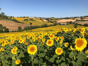 Historic farmhouse in the Marche hills just a few minutes from the beach